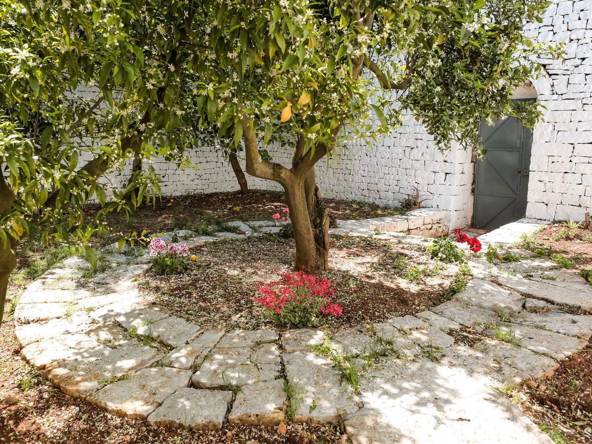 La Collina Degli Ulivi Apartment Фазано Екстериор снимка