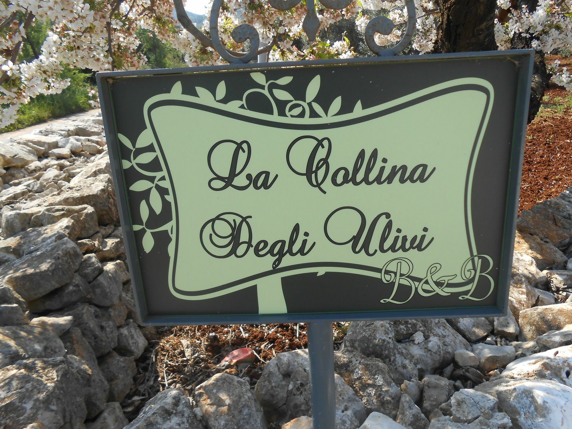 La Collina Degli Ulivi Apartment Фазано Екстериор снимка